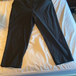 Ankle Lane Bryant Work Pants